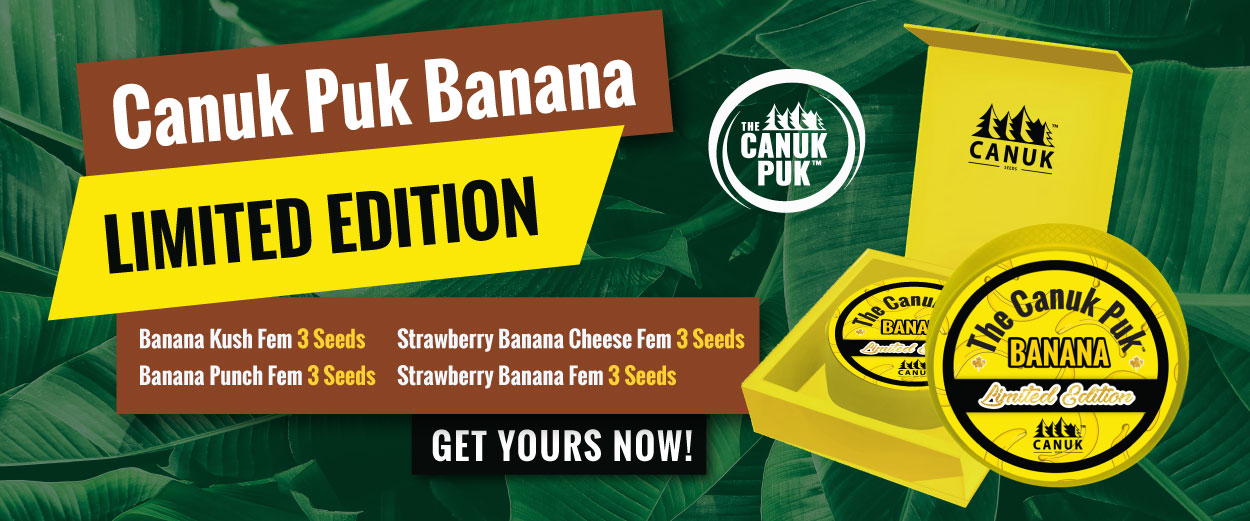 The Limited Edition Canuk Puk Banana